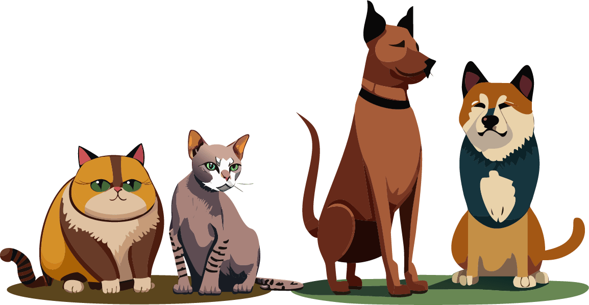 CatvsDogs.png