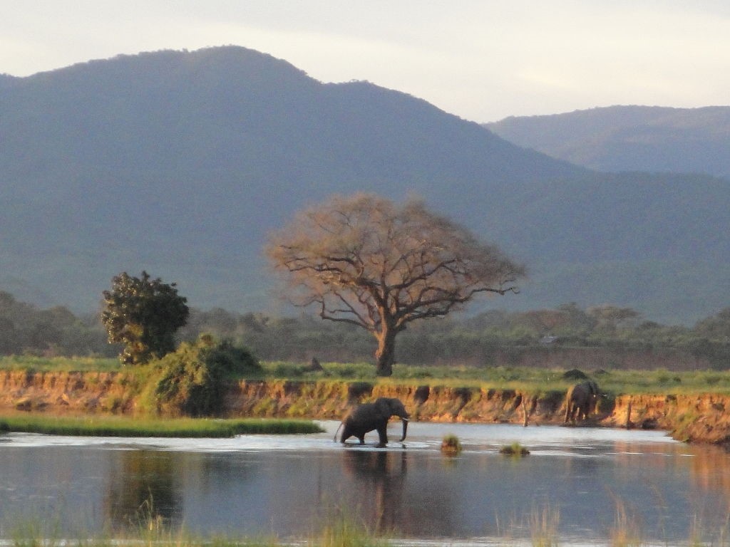 Landscape of Zimbabwe