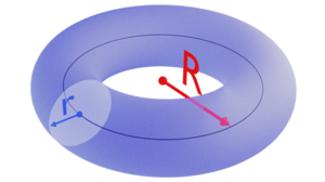 Transparent Torus