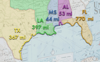 the gulf of mexico
